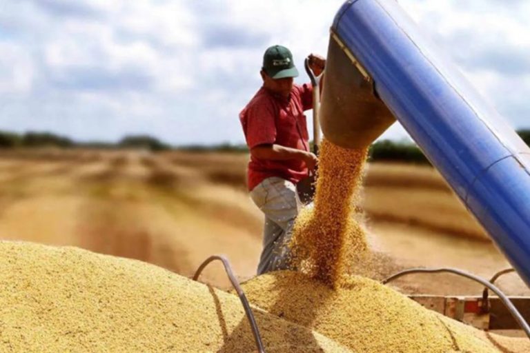 Se registró un récord de exportaciones de cereales y oleaginosas en los primeros meses del año