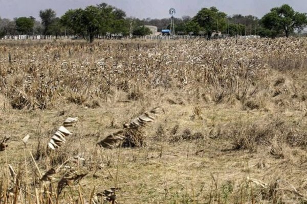 Advierten sequía prolongada por un “tiple episodio” de La Niña