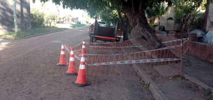 Villa Mantero: Insólito incidente entre el municipio y un vecino por la tala de un árbol
