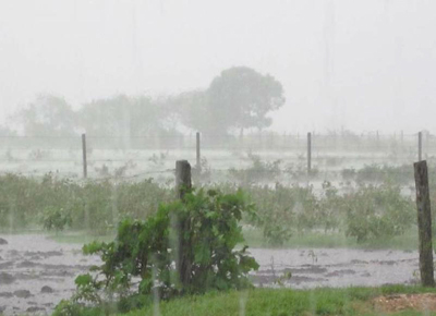 Las precipitaciones mejoraron la situación de sequía en gran parte de Entre Ríos