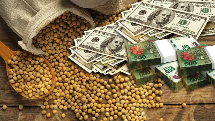 Los primeros dólares de la soja llegaron con un precio que no convence a los productores