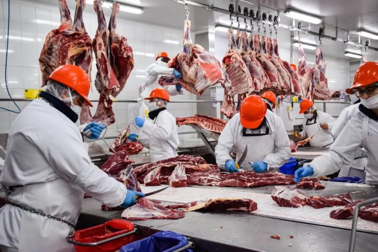 Las exportaciones de carne vacuna fueron récord en mayo: el 84% de los envíos fueron a China