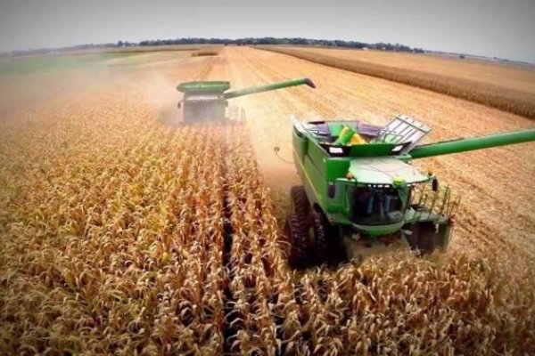 La producción de maíz y soja pueden llegar a un récord