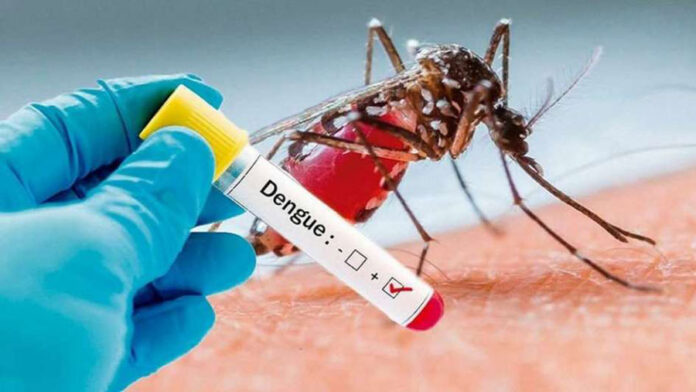 Nuevos casos de Dengue en el Dep. Uruguay