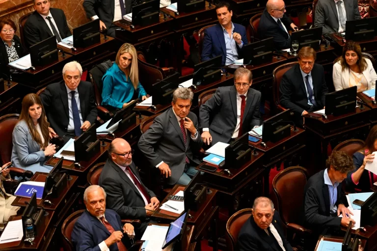 Tras postergar Ficha Limpia, el Senado abre el recinto para rendirle homenaje al papa Francisco