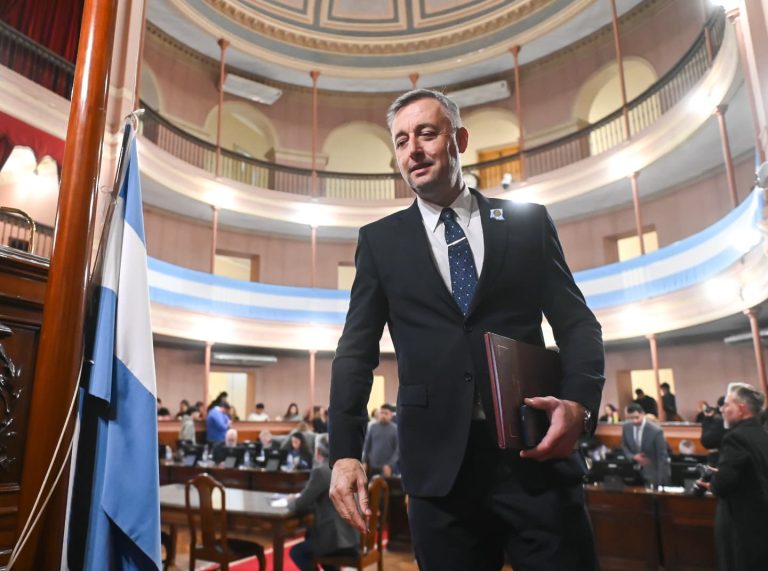 Hein celebró la media sanción para combatir la violencia digital