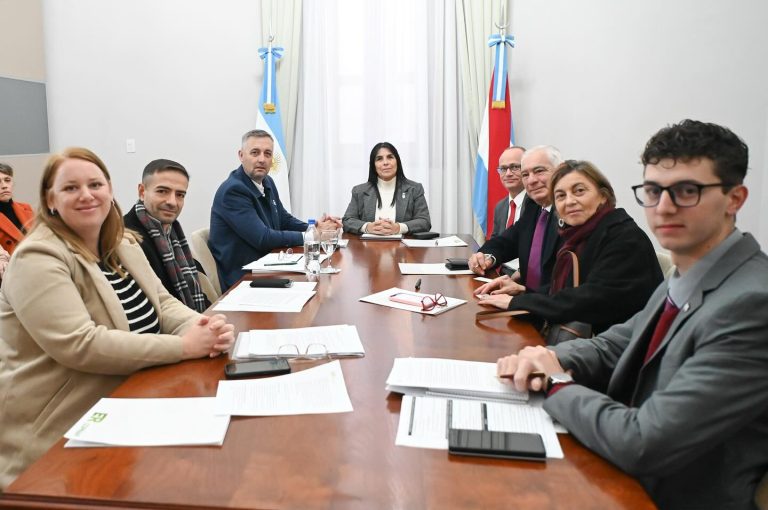 Hein: presentaron Protocolo Interinstitucional de Actuación en casos de Abuso Sexual en la Niñez y Adolescencia